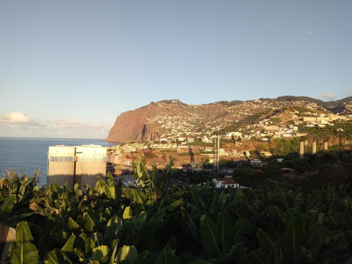 Victoria 1942 Villa Funchal  Ngoại thất bức ảnh