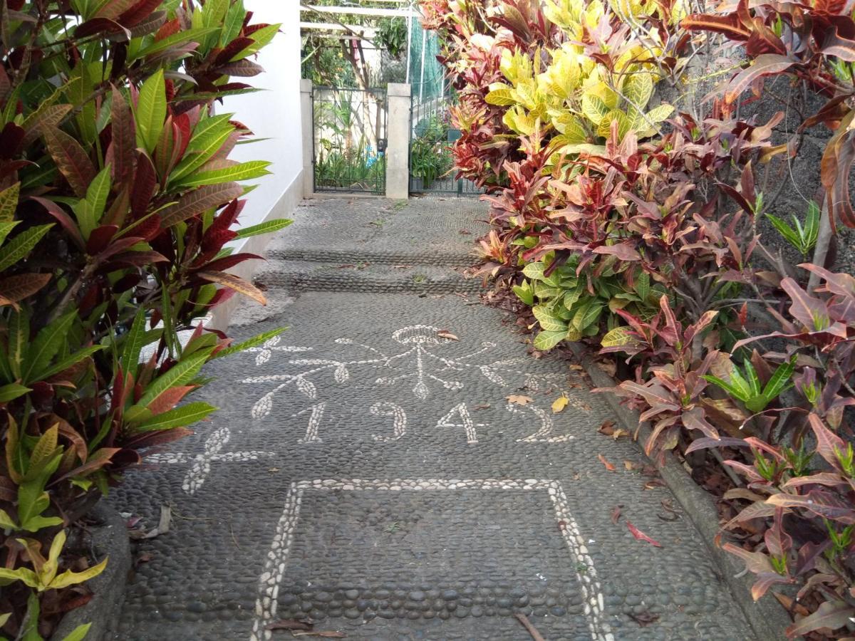 Victoria 1942 Villa Funchal  Ngoại thất bức ảnh